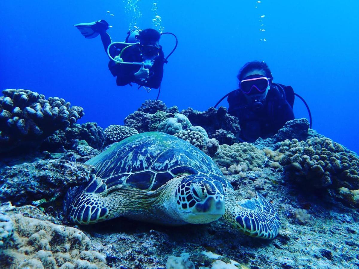 Good Hostel 好棧 Green Island Buitenkant foto